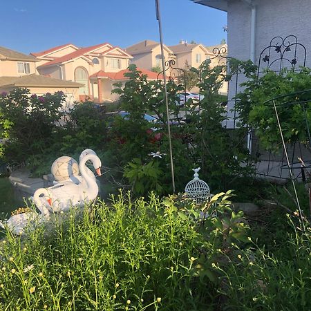 Hotel Hamptons Rose Garden Family! YYC Exterior foto