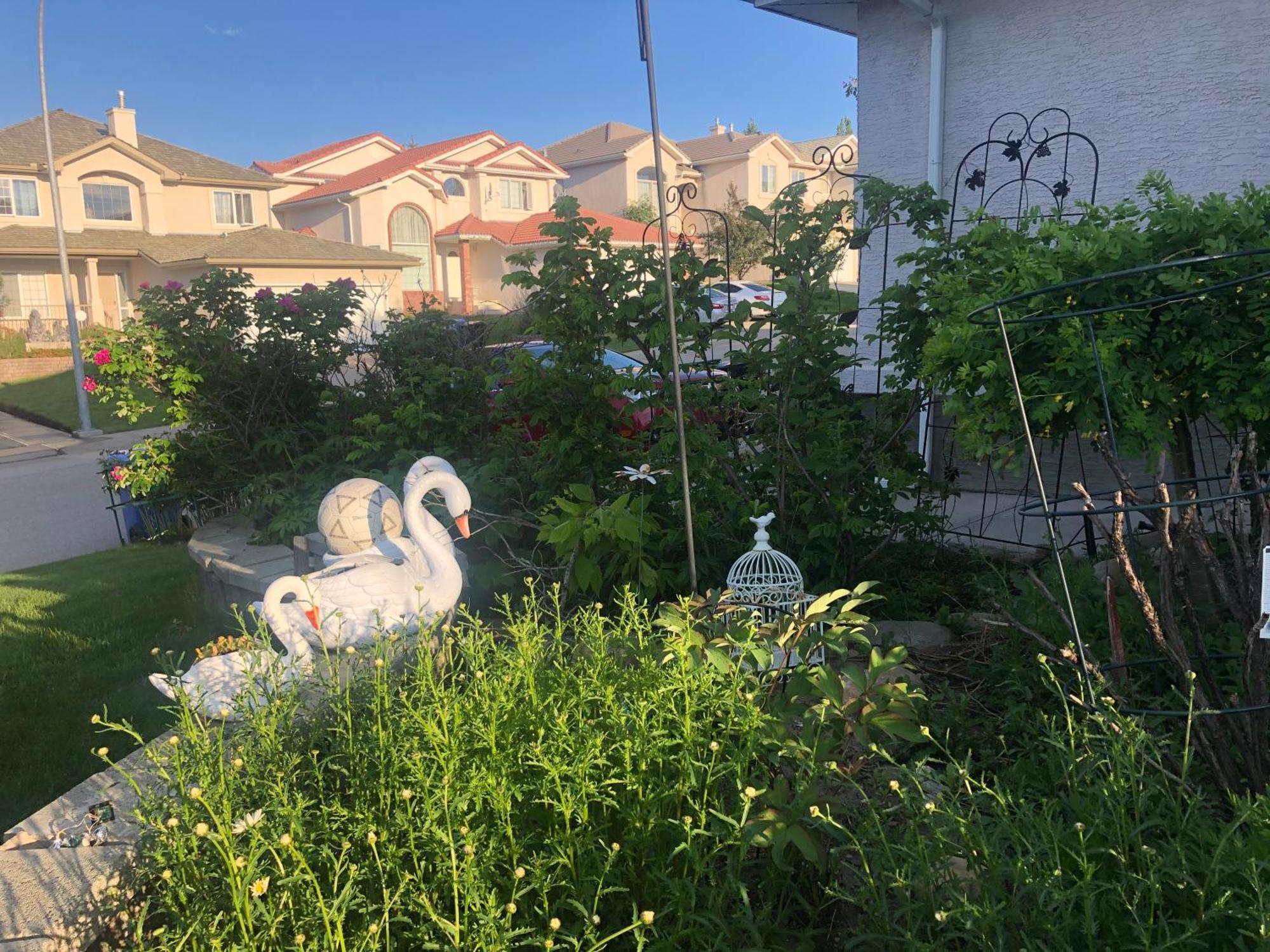 Hotel Hamptons Rose Garden Family! YYC Exterior foto